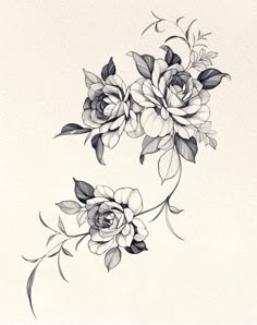 some flowers that are on the side of a white wall and one is black and white