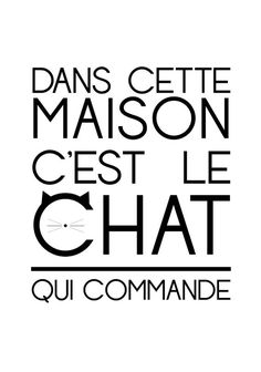 a black and white poster with the words monsieur cest le chat qui commande