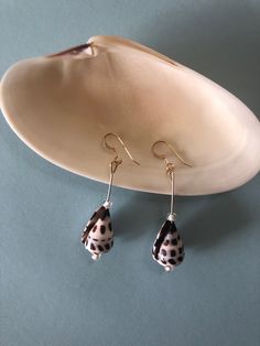 These pieces are one of a kind, made with natural Hebrew Cone seashells. Each shell is unique and will not be identical to each other. Paired with the shells are clear glass beads. Please note that due to the inherent nature of seashells, minor imperfections may be present. The ear wire component is 14k gold filled, perfect for everyday use that will not tarnish.  Please feel free to message me if you have any questions! Cone Shell Jewelry, Nickel-free Ocean-inspired Shell-shaped Shell, Ocean-inspired Nickel-free Shell-shaped Shell, Nickel-free Ocean-inspired Shell, Handmade Silver Shell Drop Earrings, Dangle Shell Earrings With Pearl Drop, Silver Shell Earrings For Beach, Handmade Silver Shell For Beach, Dangle Pearl Drop Shell Earrings