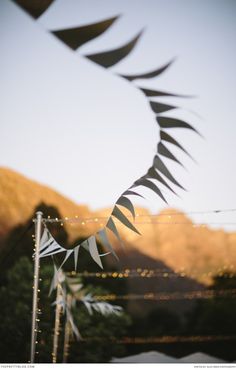 some paper birds are flying in the air with string lights strung around them and mountains in the background