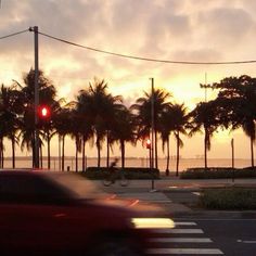 a red traffic light sitting on the side of a road next to palm tree lined street