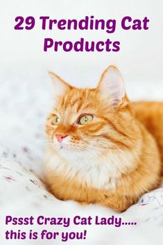 an orange cat laying on top of a bed next to the words 29 trending cat products