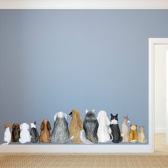 a group of cats sitting on top of a shelf in front of a blue wall