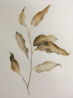 a watercolor painting of some leaves on a white background