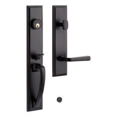 an image of a door handle and knob