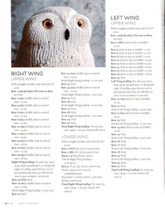 an article in a magazine about owls