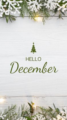 the words hello december surrounded by snowflakes and evergreen leaves on a white wooden background