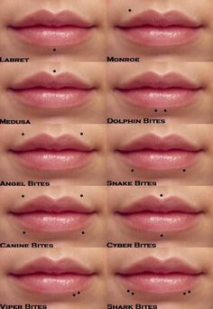 the different types of lips and their names