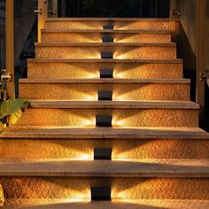 the steps are lit up with lights in front of them, and there is also a potted plant next to it