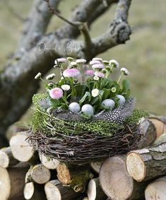 a bird nest with eggs and flowers in it on top of wood stacked next to a tree