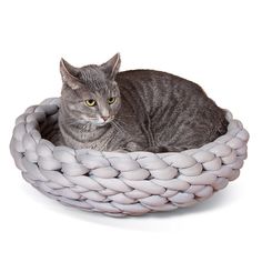 a gray cat is sitting in a white woven basket on a white background, it's looking at the camera