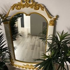 a mirror sitting on top of a wooden floor next to a potted palm tree