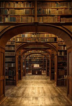 an archway in a library filled with lots of books