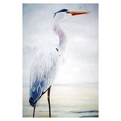 a painting of a white bird standing on the beach