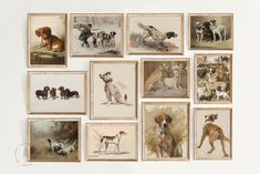 a bunch of dogs that are hanging up on the wall in front of some pictures