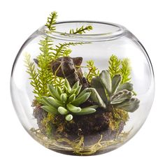 a glass bowl filled with plants on top of a table