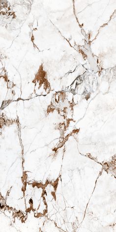 the marble is white and brown in color