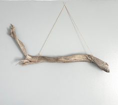 a piece of driftwood hanging on a wall