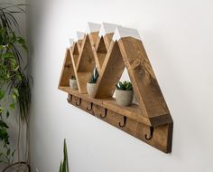 a wooden shelf that has some plants on it