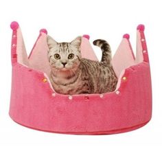 a cat sitting in a pink kitty bed