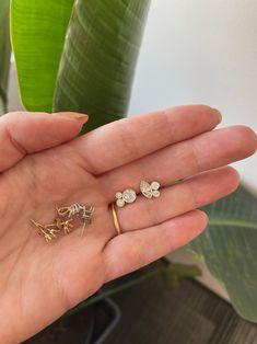 a person's hand holding three different types of rings on their palm, with a plant in the background