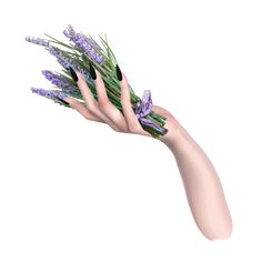 a woman's hand with purple nail polish holding lavender flowers on her left arm