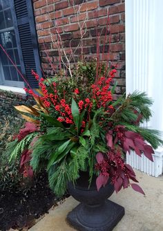 a potted plant with red flowers and greenery in front of a brick building