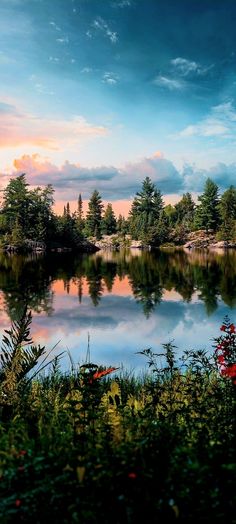 a lake surrounded by lush green trees under a blue sky with clouds in the background