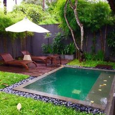 a small pool surrounded by lush green grass