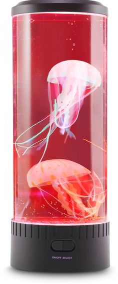 a jellyfish in a glass tank with red water and white bubbles on the bottom