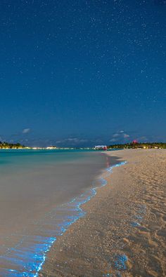 the beach is lit up at night with stars in the sky above it and blue water