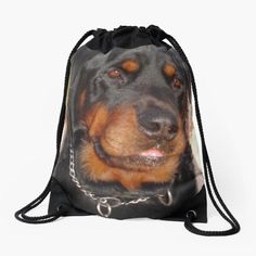 a black and brown dog wearing a chain around its neck in a drawstring bag