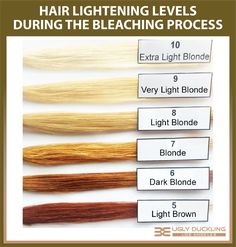 Hair Toners For Blonde, Tone Yellow Hair, Levels Of Hair Color, Level 6 Hair Color, Toner For Orange Hair, Level 7 Hair Color, Toning Bleached Hair, Cosmetology Instructor, Highlights Tutorial