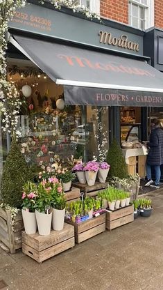 the flower shop is selling flowers and plants