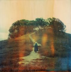 a person walking down a dirt road in the middle of a field with trees on either side