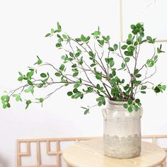 a potted plant sitting on top of a wooden table