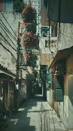 an alley way with lots of power lines and flowers growing on the building's sides