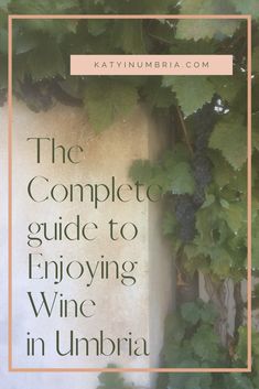 the complete guide to enjoying wine in umberia by kaytynjumbaria