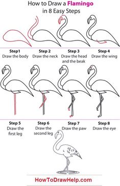 how to draw a flamingo in 8 easy steps step by step instructions for beginners