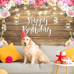 a dog sitting on top of a couch in front of a birthday sign and flowers