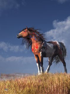 a horse standing on top of a dry grass covered field next to a blue sky