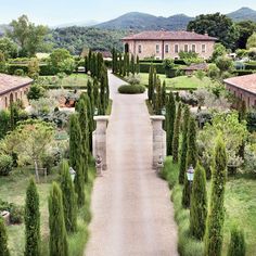 the driveway is lined with trees and bushes