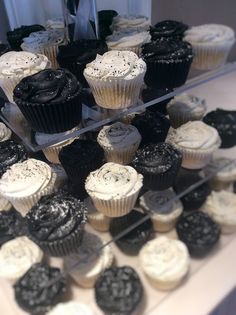 there are many cupcakes that are on the display case together and one is black and white