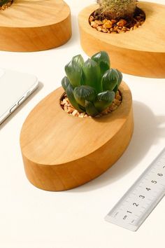 three succulents are placed on wooden bases next to a ruler and laptop