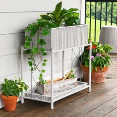 some plants that are sitting on a shelf near a wall with a porch in the background