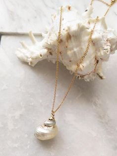 Seashell necklace seashell jewelry wanderlust jewelry shell . #beachwedding #beachweddingsideas #seashelljewelry #shelljewelry #shellnecklaces Beach Shell Necklace With Pearl Pendant, Ocean-inspired Shell-shaped Necklace With Pearl Pendant, Shell Charm Necklace As A Gift, Shell Charm Necklaces As Gift, Shell Shape Charm Necklace As A Gift, Mother Of Pearl Shell Necklace For Gift, Mother Of Pearl Shell Necklace As Gift, Ocean-inspired Shell Necklace For Gift, Ocean-inspired Shell Necklace As Gift