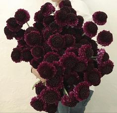 a woman holding a bunch of purple flowers