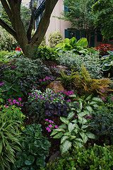 a garden filled with lots of different types of flowers and plants in front of a building