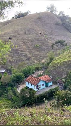 a blue house sitting on top of a lush green hillside