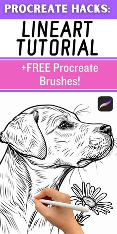 Procreate Lineart Hacks: Easy Tutorial! (FREE Tattoo Brushes!)rn Illustrator bru